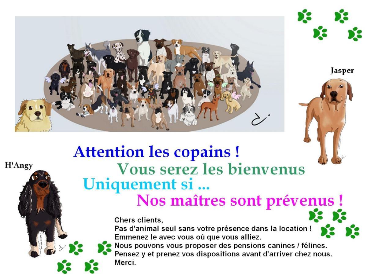 Chambre D'Hotes Le Gachignard Courlay Luaran gambar